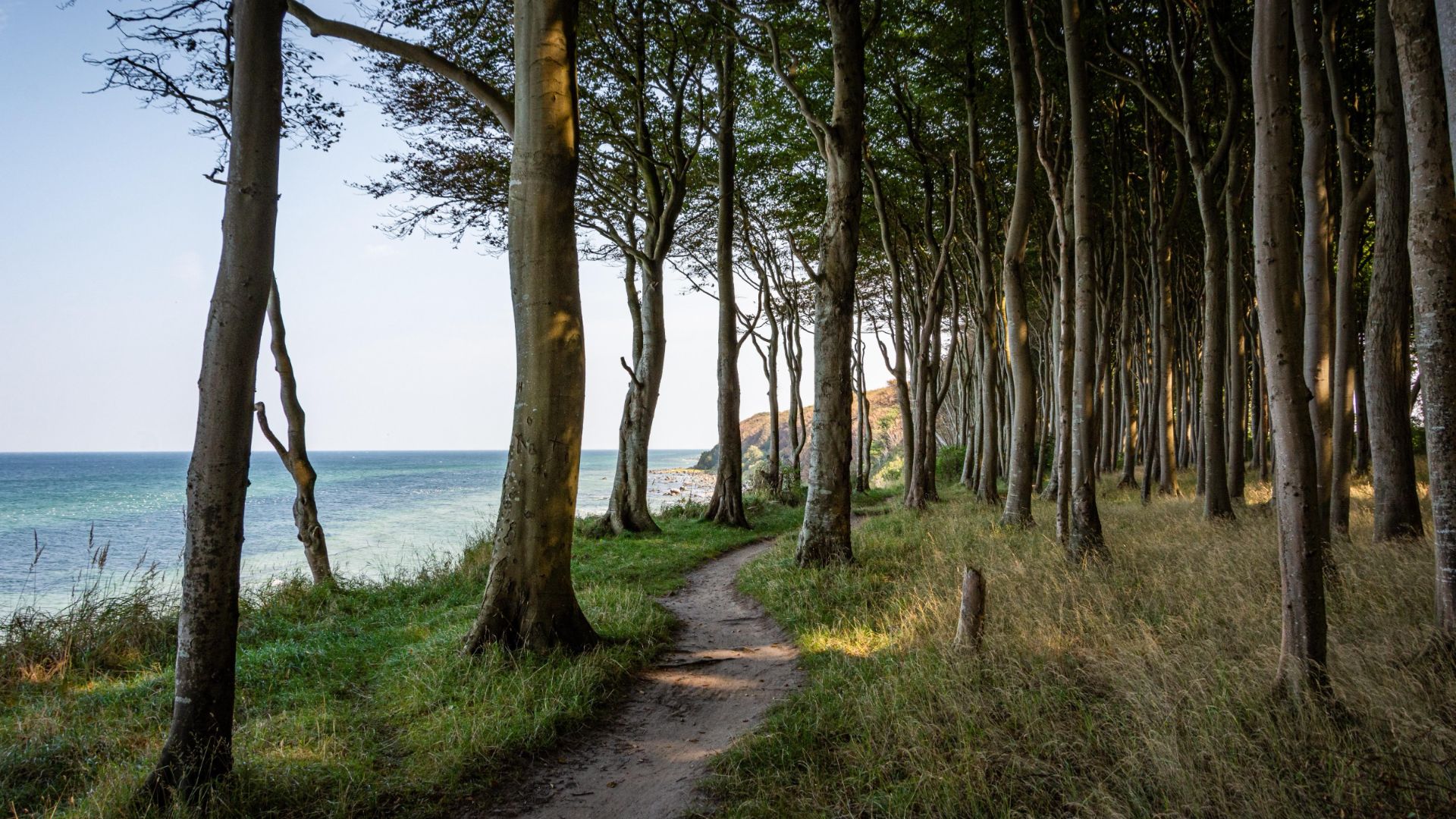 Boddenglück - Header